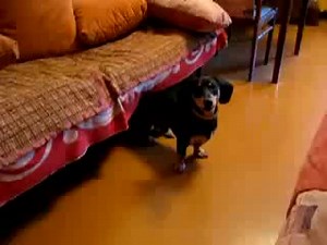 микки - форсаж 7 - YouTube