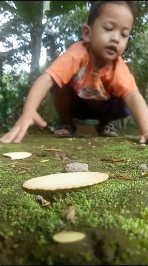 dance careless millipede #uniqueanimals #cuteanimals #millipedes #mrowl