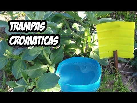 How to make chromatic traps | Step by Step