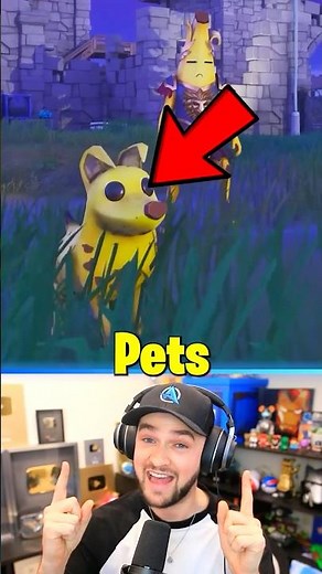 *NEW* Fortnite Pets SCAM!?
