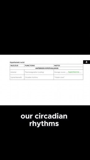 USMLE Step 1 High Yield | First Aid Rapid Review Facts You Must Know