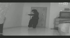 2013 MELBOURNE SHUFFLE COMPILATION