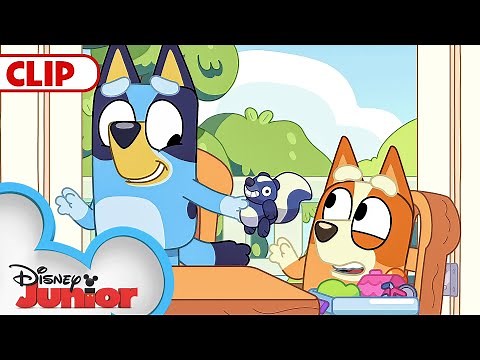 Bluey Season 3 Episode 23 "Family Meeting" Episode Clip | ‪@disneyjr‬