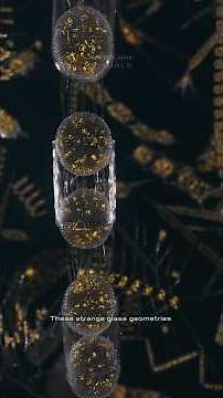 When Beautiful Plankton Turns Deadly