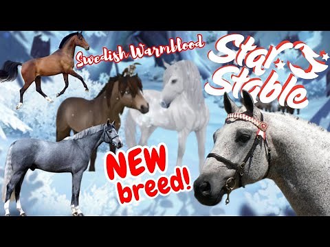 NEW SSO breed coming soon! Swedish Warmblood Horse in Star Stable