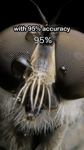 the internet is gping crazy over this fruitfly brain simulation.. #ai #tech #science