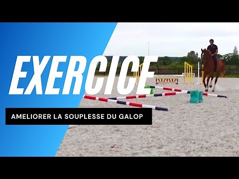 Exercice équitation : Barres au sol pour améliorer le galop
