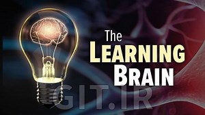 The Learning Brain