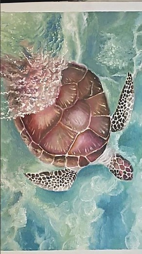 How to draw Sea Turtle LIKE A PRO