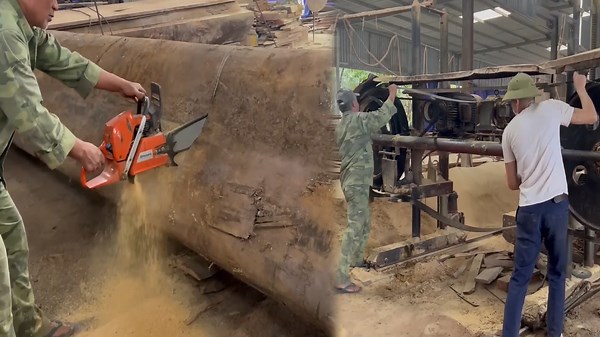 Watch Wood Cutting Machinery Transform Raw Wood Efficiently