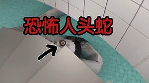 恐怖教室！惊吓值拉满！！《The Classrooms》游戏实况解说02