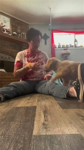 We worked on Touch today!! Link did great