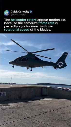 Stroboscopic Static Flight 🚁