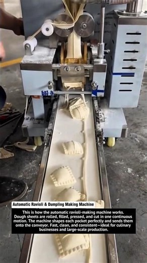Automatic Ravioli & Dumpling Making Machine – Super Fast Stuffed Pastry Production!