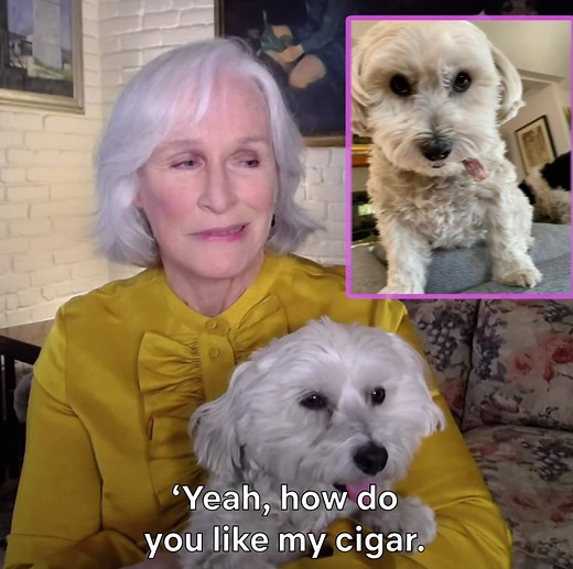 What does Glenn Close think Pip sounds like? That's just one of the questions the Hillbilly Elegy star tackles about her pupper BFF in Must Love Dogs | Netflix