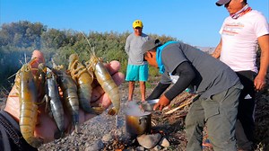 360K views · 8.7K reactions | Pesca y cocina en Río, con mis amigos. para pescar usamos atarraya de pesca. lugar de pesca Río Camaná. | And Moll | Facebook