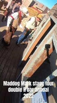 Maddog Mark stage 4 double R bar annual 2022 #cowboyaction