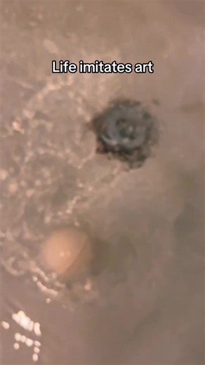 Discovering Pikachu's Cute Charm in Pokémon