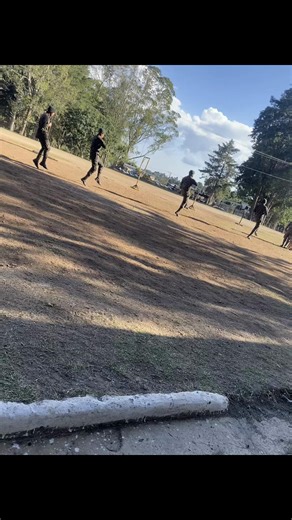 Entrenamiento de la canina: demostración y ejercicios militares
