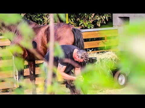 ETAPE 1 COMMENT DÉRIVER SON CHEVAL