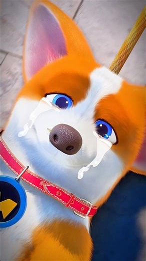 When Moco is too tired to walk🐕😀#moco #shorts #edit