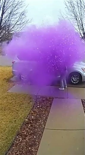 Don't touch boxes that aren't yours.#RingDoorbell #PackageThiefFail #PaintExplosion #FunnyFails