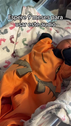 9 Largos Meses de Espera con Dragon Ball Z