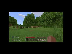 Minecraft Beginners be like..