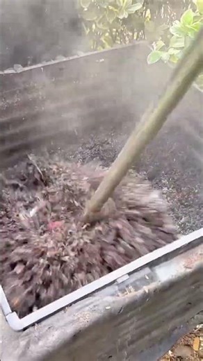 Mixing Steaming Hot Compost Speeding Up the Decomposition Process for Better Soil