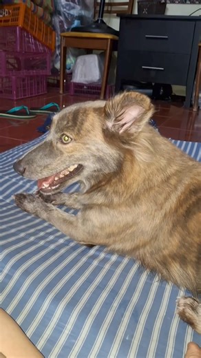 28K views · 138 reactions | Sabi ko kiss... | Team Mama & Maya | Facebook