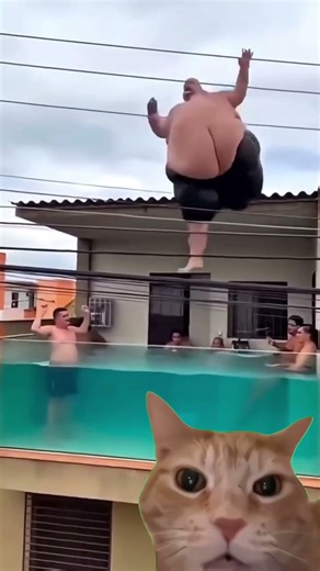 He Didnt Think That Through😭💦.Like if u laughed 😆#shorts #viral #cats #usa