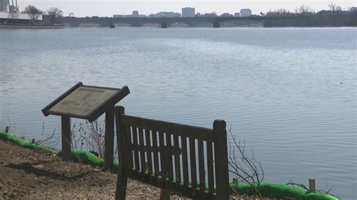 Remediation process has started along the Potomac River following massive sewer spill, DC Water officials say