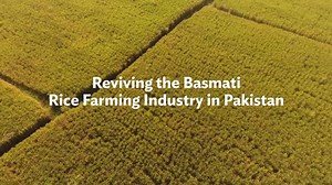 24K views · 522 reactions | WATCH: How new farm technology helped thousands of basmati farmers in Pakistan to produce more rice at a lower cost and help revive this once booming industry. | Asian Development Bank | Facebook