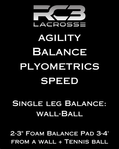 Single Leg Dynamic Balance- Wall Ball