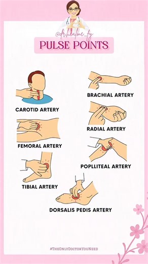 𝐃𝐫.𝐌𝐚𝐧𝐚𝐥𝐢 | 𝐇𝐄𝐀𝐋𝐓𝐇 & 𝐌𝐄𝐃𝐈𝐂𝐈𝐍𝐄 on Instagram: "🔥 Pulse Points Knowing where to palpate pulses is fundamental in physical examination, trauma assessment, and vascular evaluation. Each pulse tells you something different about perfusion, vessel integrity, and circulatory status. ⭐ Major Pulse Points (Head to Toe) • Temporal pulse – over the temple • Carotid pulse – neck, beside trachea • Brachial pulse – medial arm (peds BP!) • Radial pulse – wrist, lateral side • Ulnar pulse 