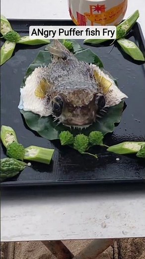 Frying an ANGRY Pufferfish! (Catch & Cook) 🐡