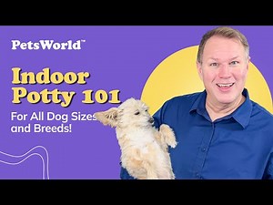 How to Indoor Potty Train Your Dog | Potty 101 with PetsWorld