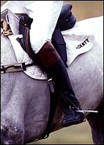 Training eventing's future stars - Horse & Hound