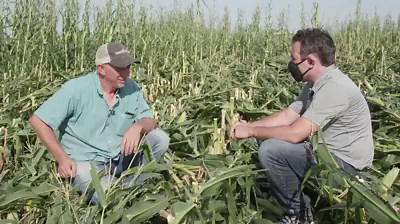 "2020 is gonna be like a four letter word." Last week's derecho in Iowa destroyed 10 million acres of corn. An unbelievably devastating loss for Midwest farmers, this is why it affects all of us: | The Weather Channel