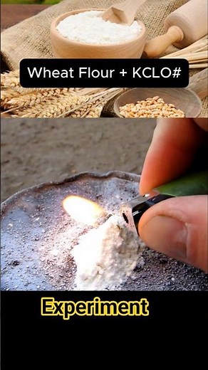 Experiment : Wheat flour + Potassium clor#te #experiment #explosivetv