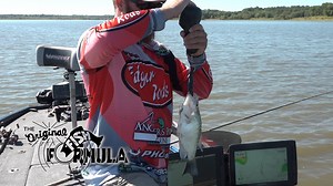 When you're fishing in timber, you really have to take your time and make sure you're not missing any big fish in there. | American Crappie Trail
