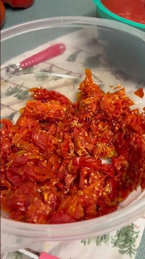 I Made Garden-Fresh Plum Tomato Sauce!!! #recipe #tomatosauce #food #tomato #sauce