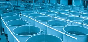 BIO-UV GROUP REVEALS RANGE OF UV-C AND OZONE DISINFECTION SYSTEMS AT AQUACULTURE EUROPE 2022