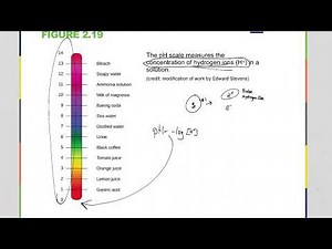 Introduction to pH for Biology: Acid Base Chemistry (AP Biology and College Level Biology)