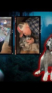 He Tortured A Wolf For Hours At The Bar - Cody Roberts Wyoming #scary