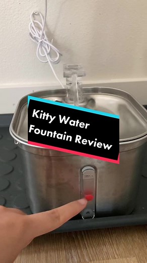 The fountain my cats love. Since using a fountain they started to drink more water and no more UTIs for my older kitty. #catwaterfountain⛲ #catstainlesssteel