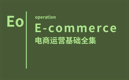 电商运营基础全集