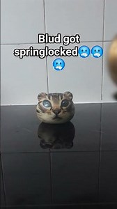 The springlock incident...