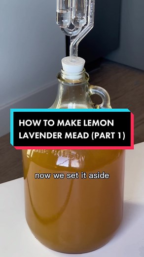 how to make mead 🍯🍋 #mead #meadtok #homebrew #homebrewing #honeywine #hobby #easyrecipe #diy