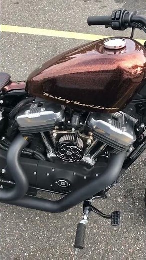 2014 Harley-Davidson SPORTSTER 1200 in East Wenatchee WA